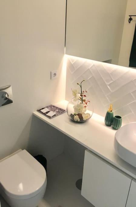 Studio Jardim Sao Lazaro 波尔图 外观 照片